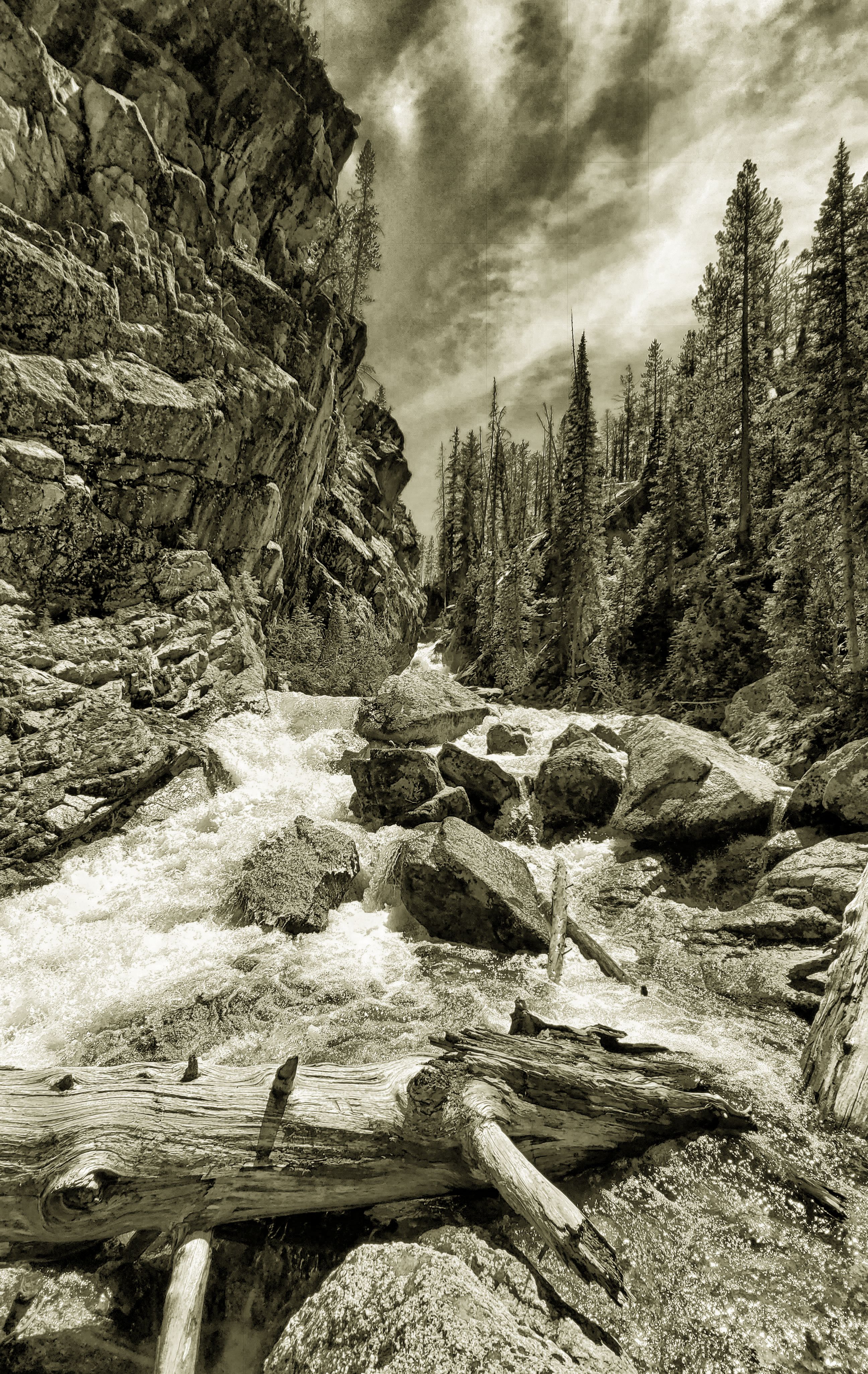 Lady Face Falls BW